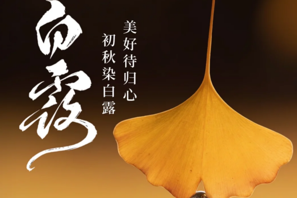 白露至,秋意浓,一份老台门包子暖胃更暖心 白露至,秋意浓,一份老台门包子暖胃更暖心