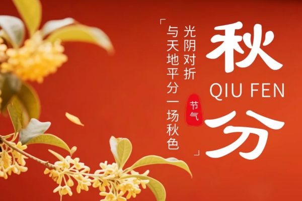 老台门蒸笼里的秋分诗:一褶一韵,包住整个季节的温柔 老台门蒸笼里的秋分诗:一褶一韵,包住整个季节的温柔