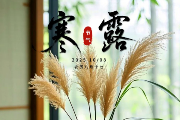 老台门包子寒露三蒸三晒:古法老面的节气仪式感 老台门包子寒露三蒸三晒:古法老面的节气仪式感